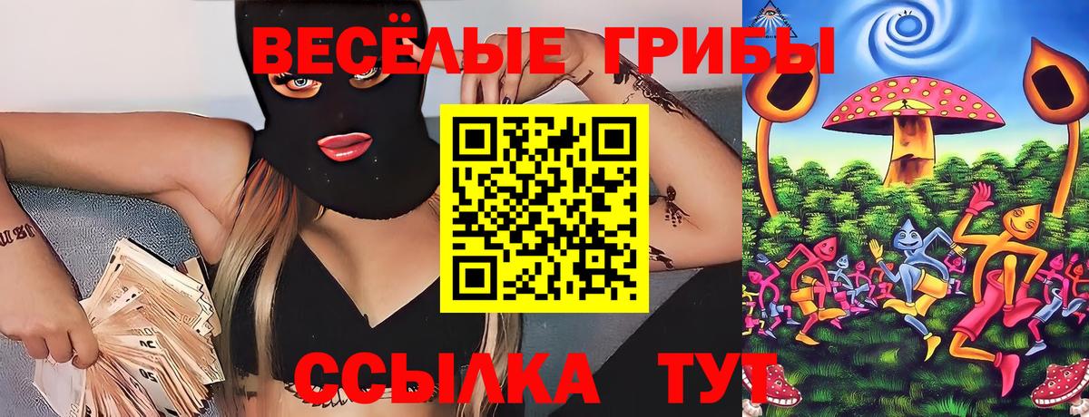 Галлюциногенные грибы Cubensis Екатеринбург